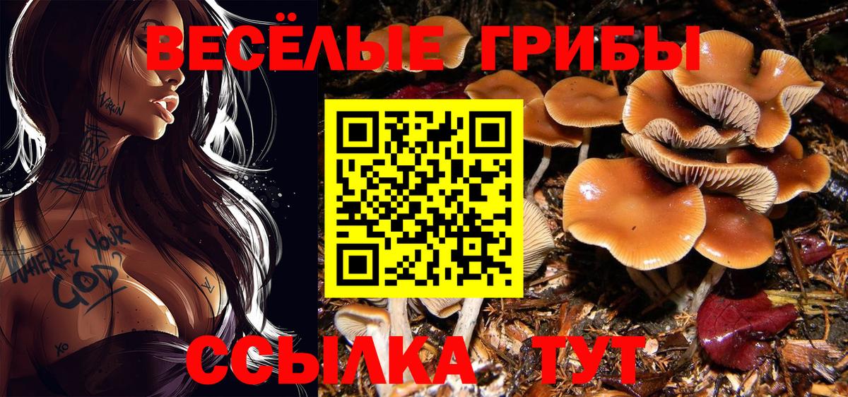 Псилоцибиновые грибы мицелий Михайловка
