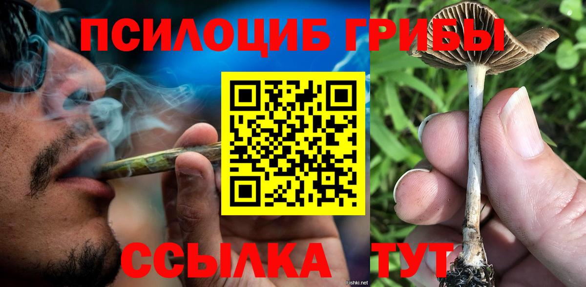 Михайловка  Псилоцибиновые грибы Psilocybe  Вход с VPN 